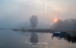 Ochtend mist-3